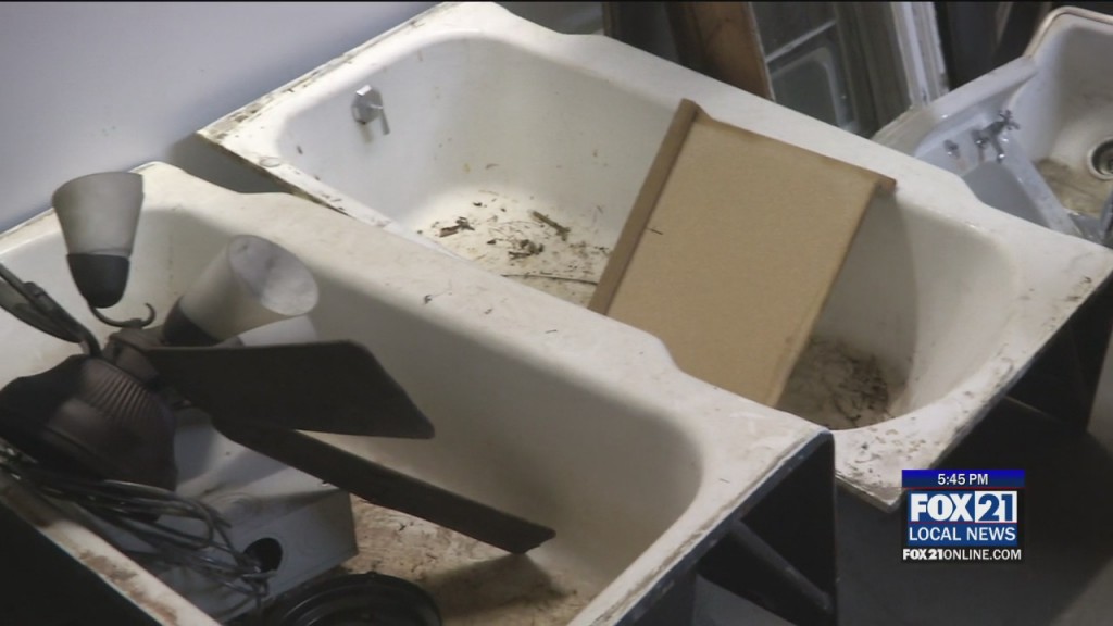 Better Futures Minnesota