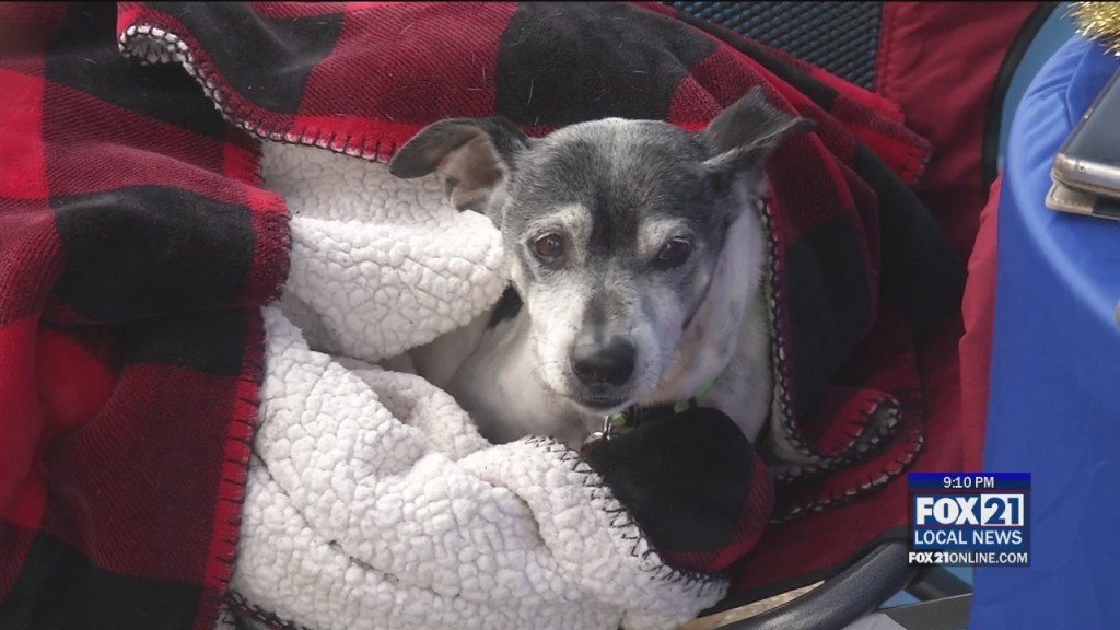 Northern Lakes Rescue