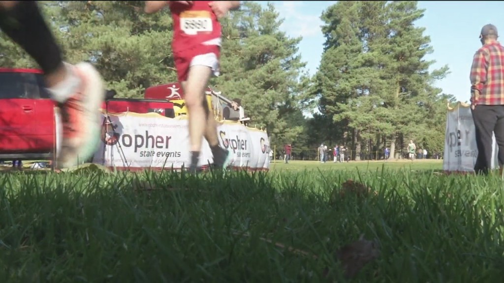 Gophers Cross Country