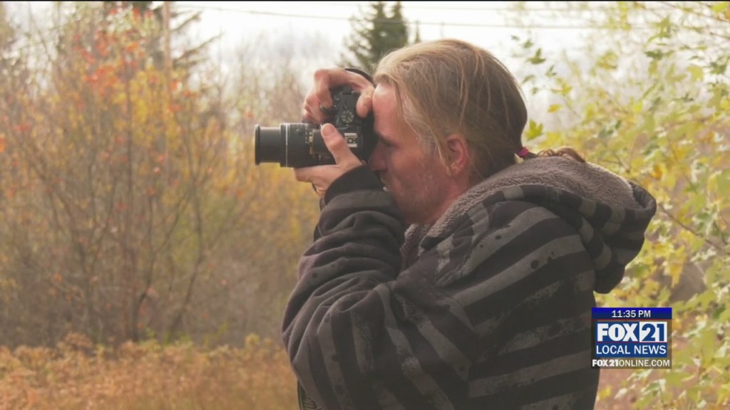 Into The Wild Artography