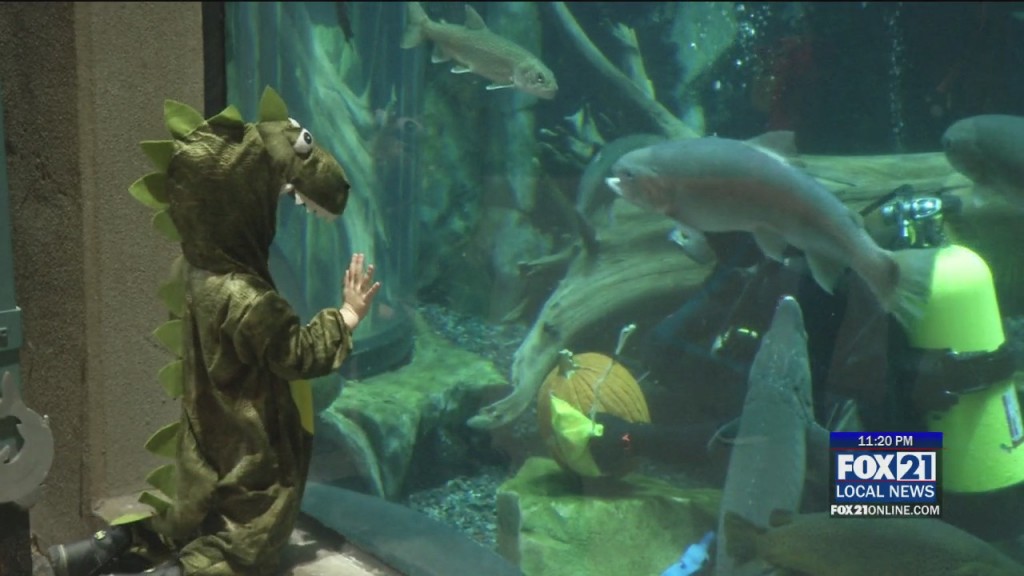 Scarium At The Aquarium