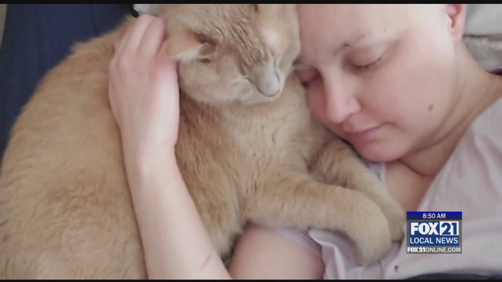 Breast Cancer Diagnosis