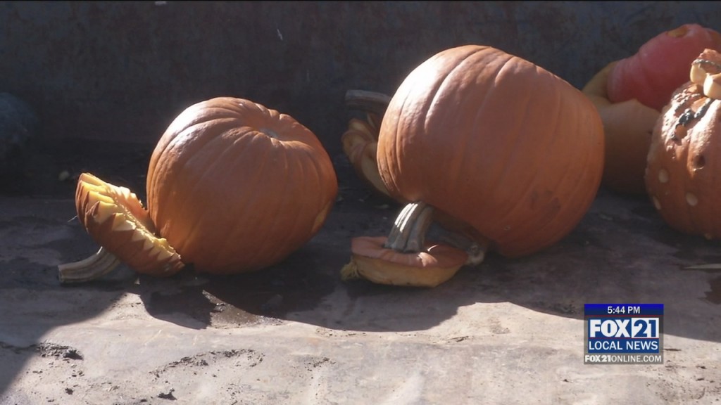 Pumpkins