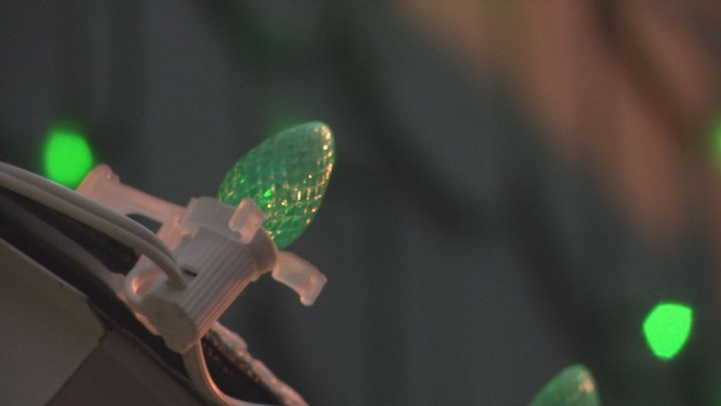 Hayward Lure Of Lights Photo