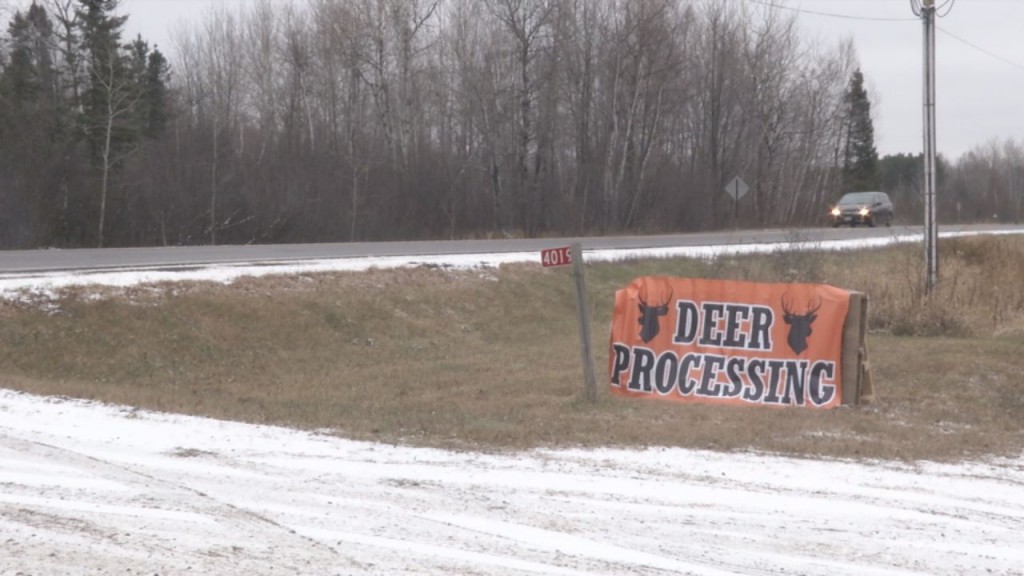 Meat Processing Photo