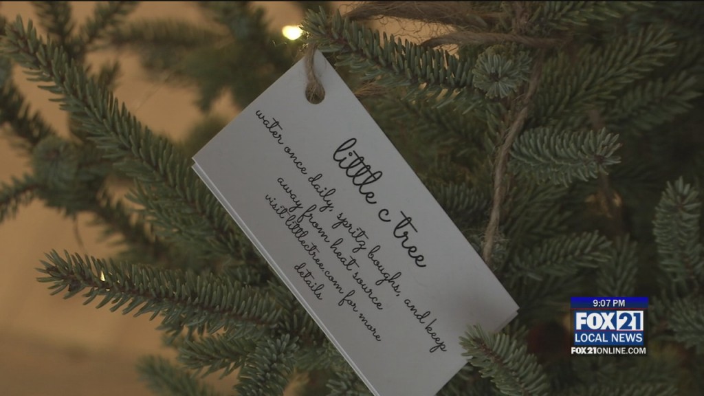 Tree Restaurant Help