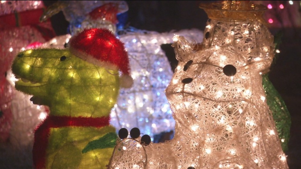 Holiday Lights Duluth East