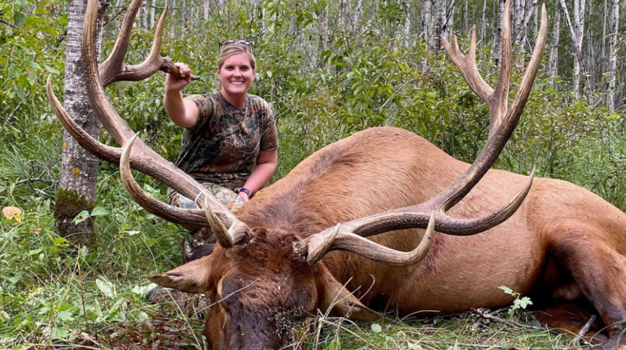 Giant Bull Elk