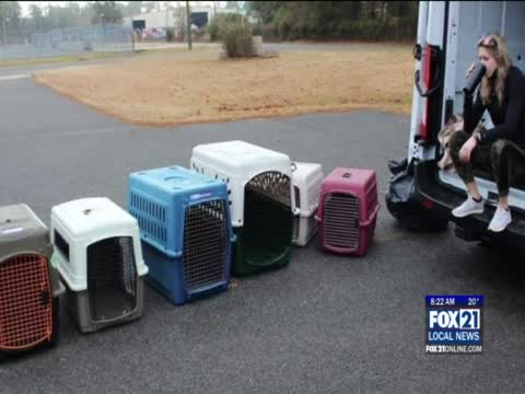 Animal Answers Rescue Mission