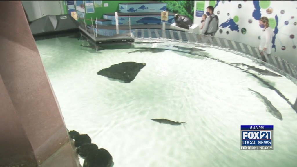 Great Lakes Aquarium Fundraiser