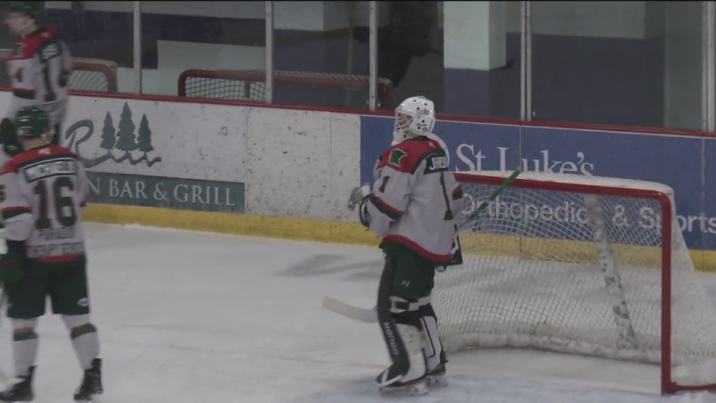 Wilderness Brown Bears