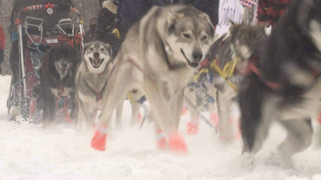 Received 844340359682167