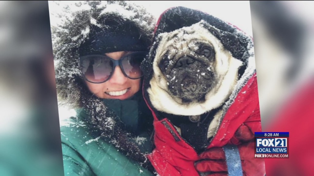 Theduluth Dog Walker