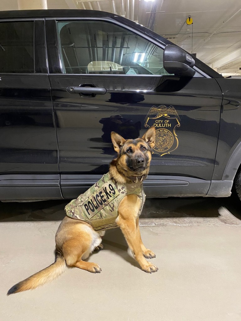 K9 Vili