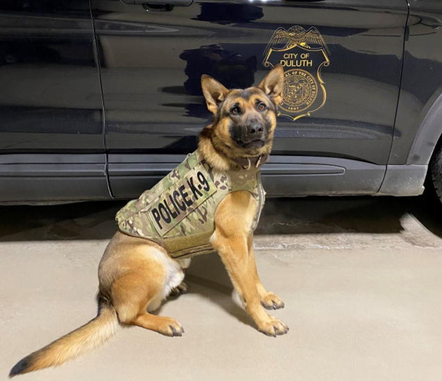 K9 Vili