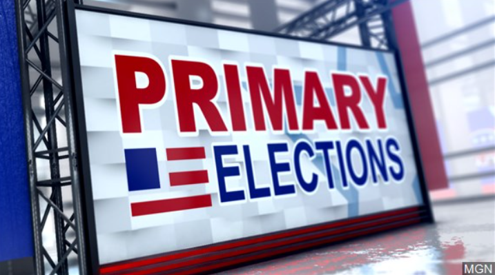 Primary Election