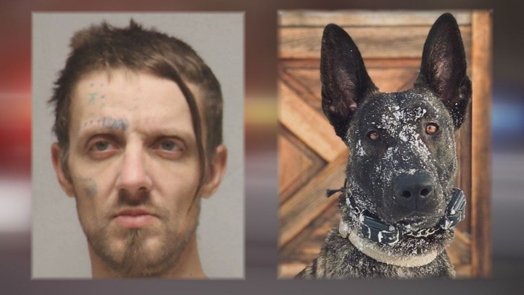 David Conwell K9 Luna