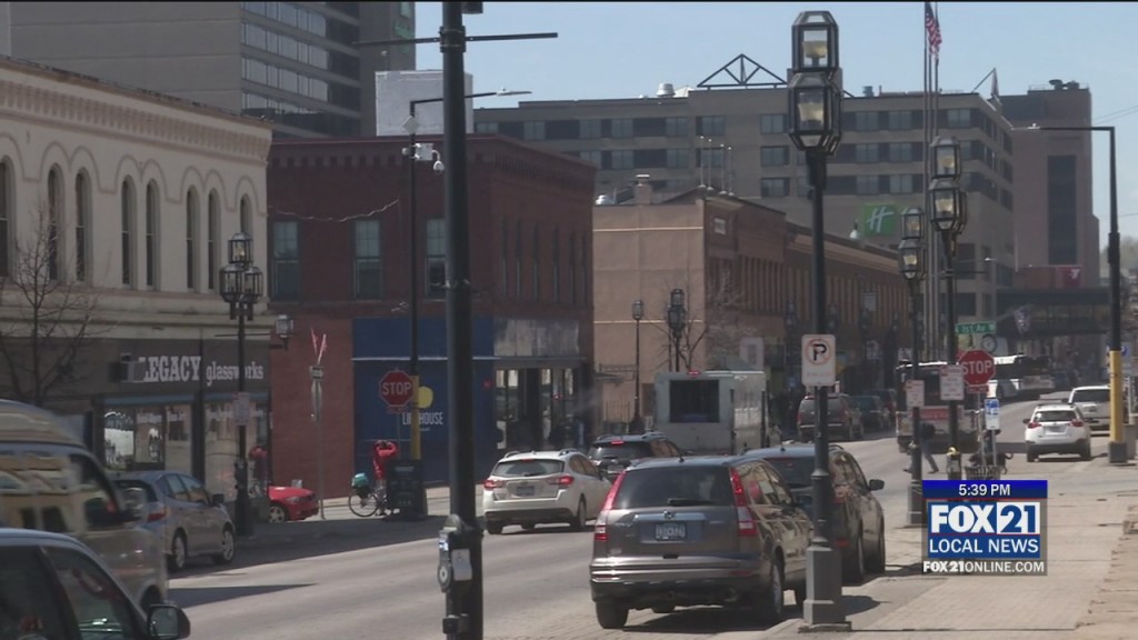 Downtown Duluth Survey