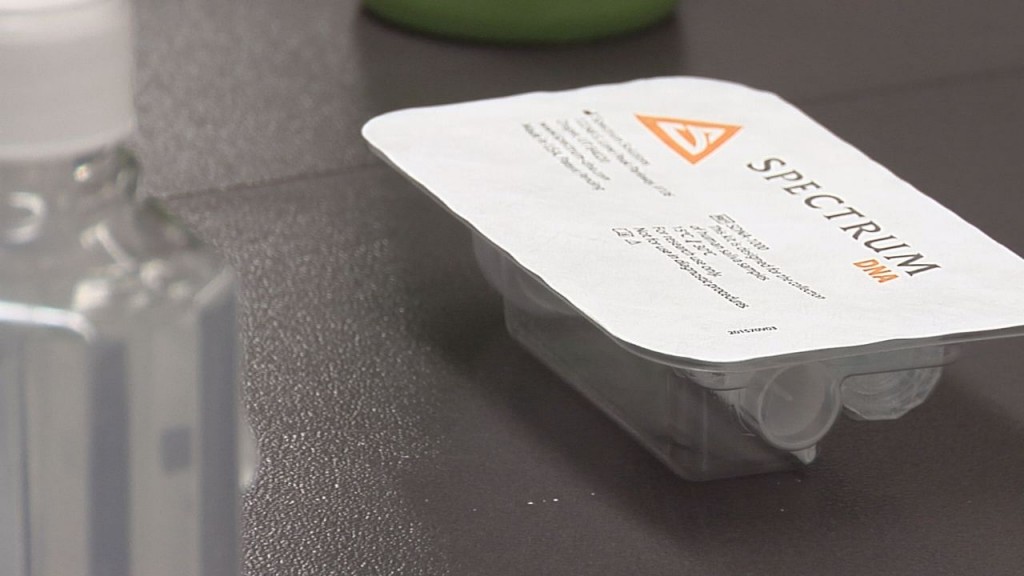 Rapid Testing Site Story