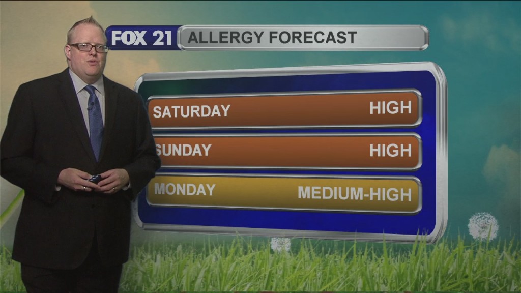 Northland Weekend Weather Forecast