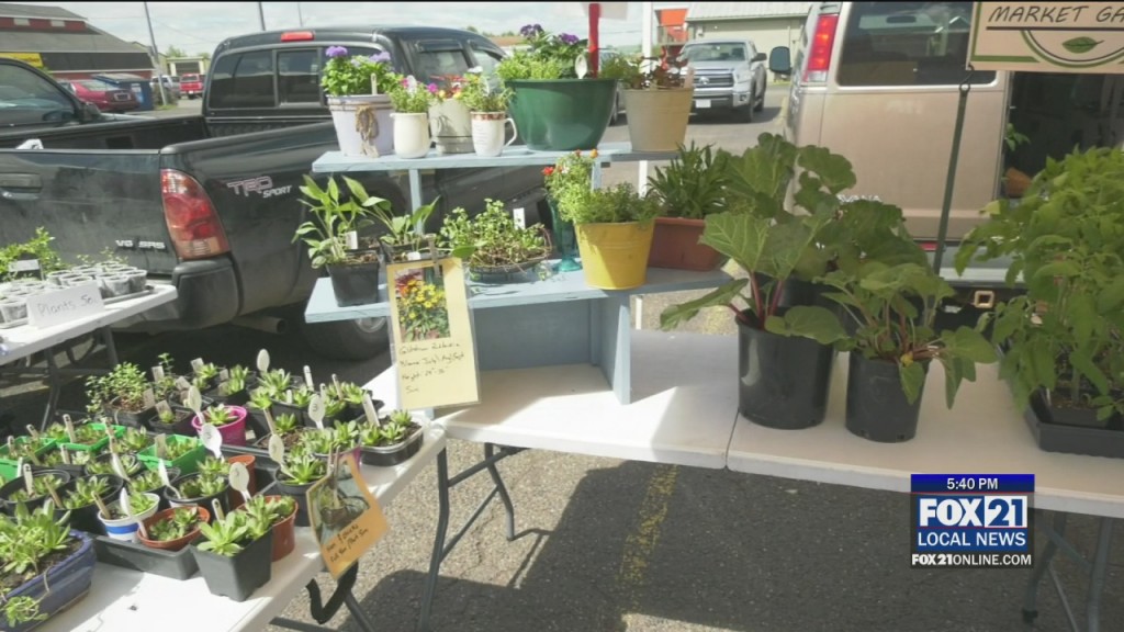 Superior Farmers Market