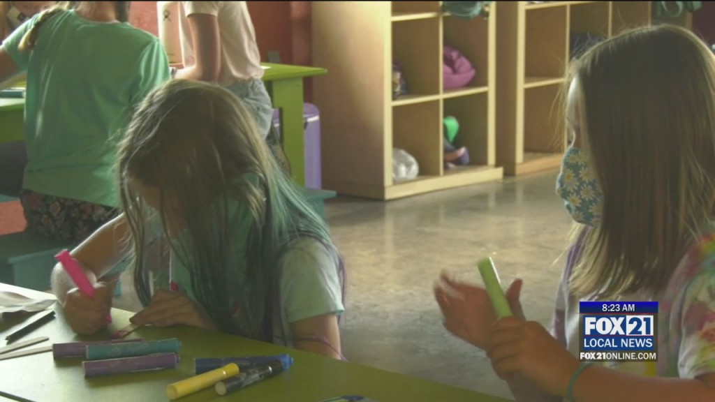 Animal Allies Summer Camp