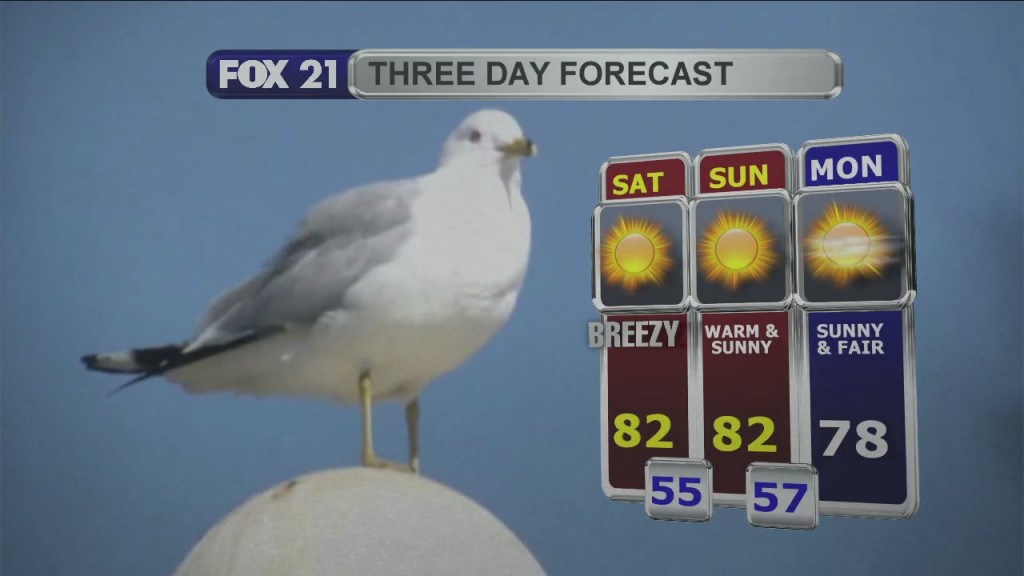 Friday Evening Northland Weather Forecast