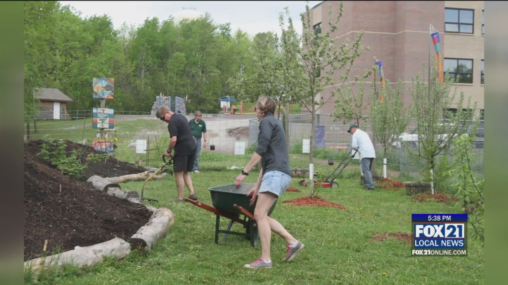 Vandalization At Bayview