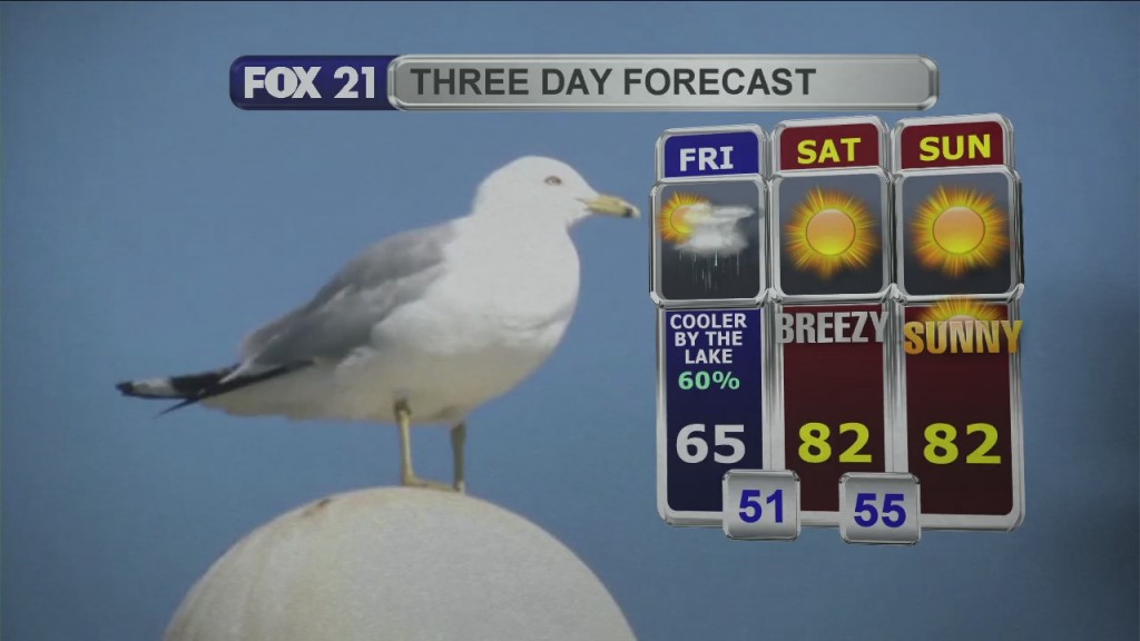 Midday Update 6 11 21