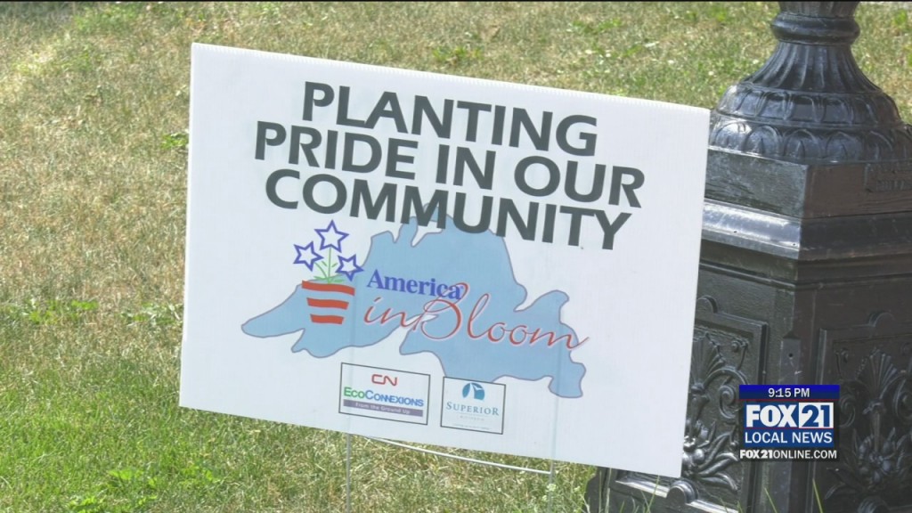 Superior Plant Grant