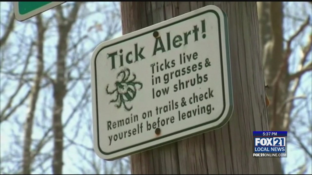 Ticks