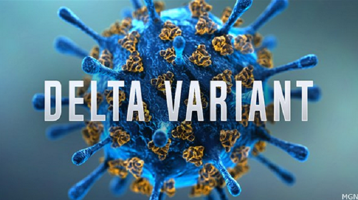 Delta Variant