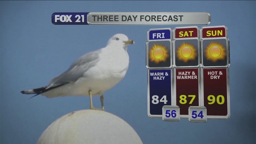 Midday Update 7 16 21