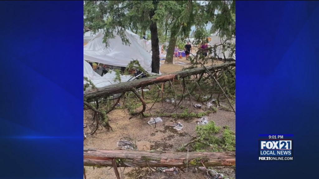 Blueberry Fest Canceled