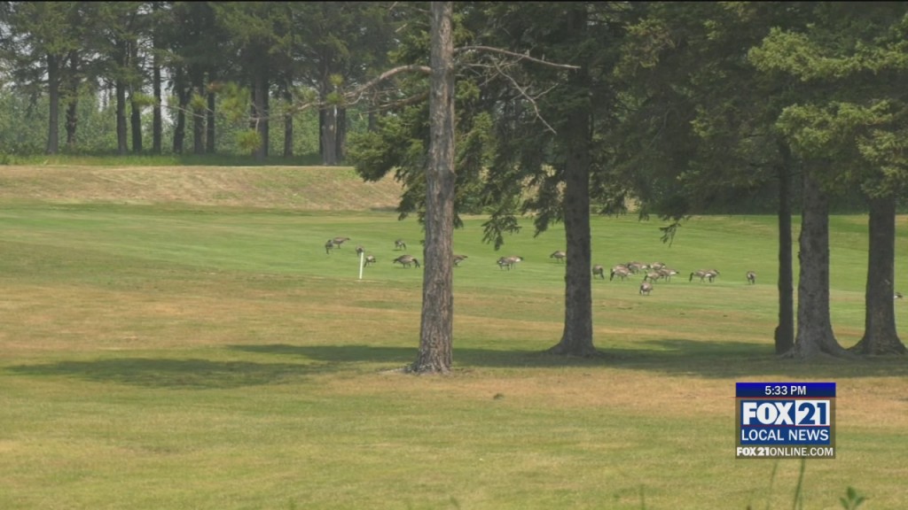 Golf Course Storm Clean Up