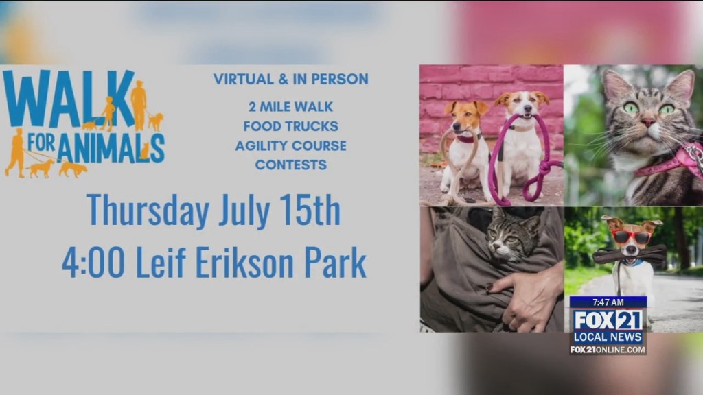 Walk For Animals