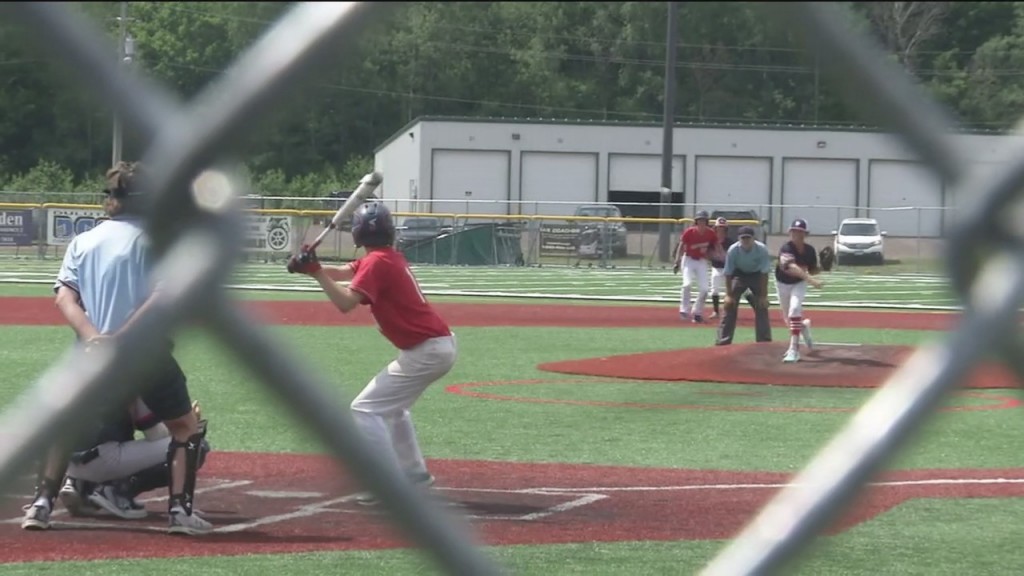 Proctor Batting Cages