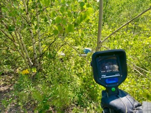 240376974 6580264341999252 7030479015675759790 N