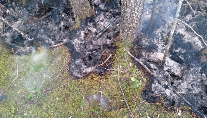 Greenwood Fire Aug 30