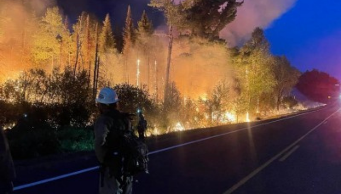 Greenwood Fire Night