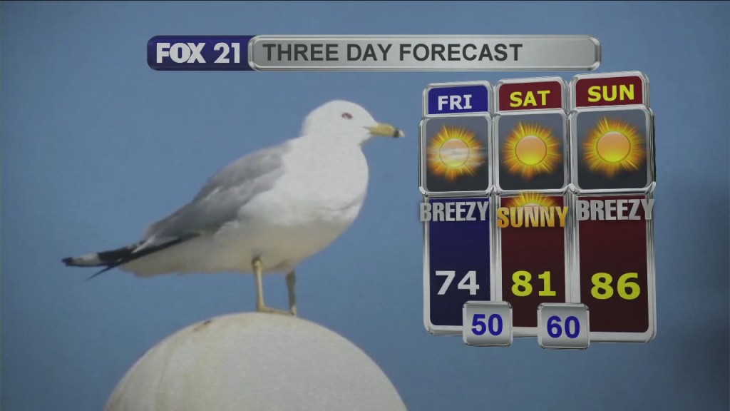 Midday Update 8 13 21