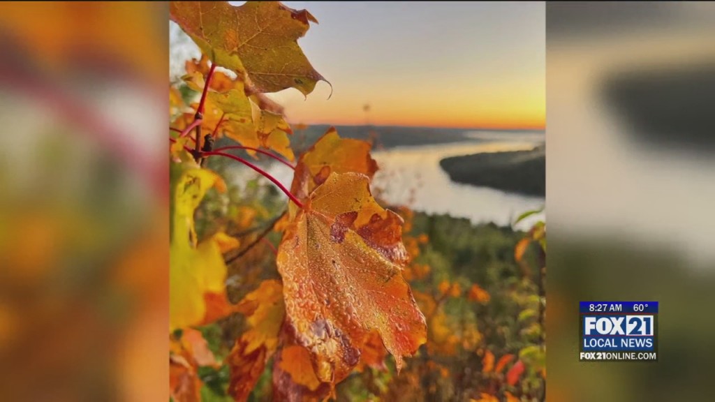 Coffee Visit Cook County