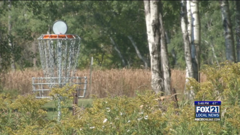 Superior Disc Golf