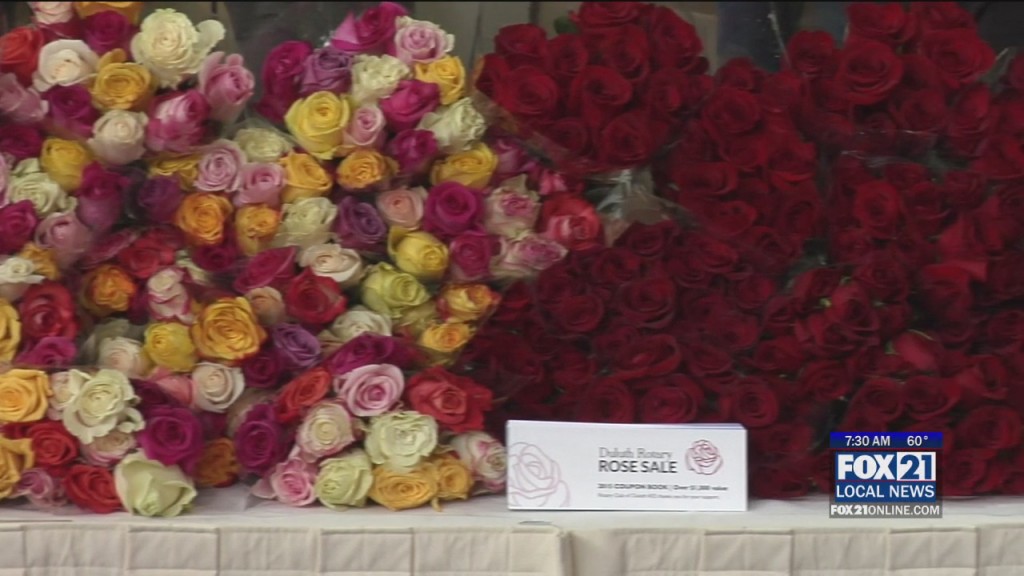 Rotary Rose Sale