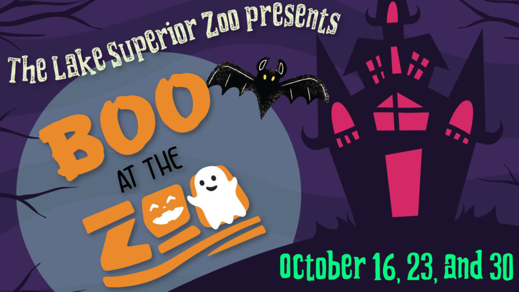 Boo At The Zoo Still
