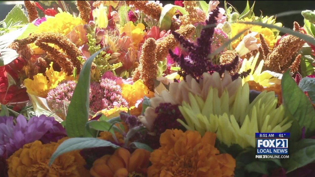 Lake Superior Harvest Festival