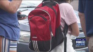 Duluth School District