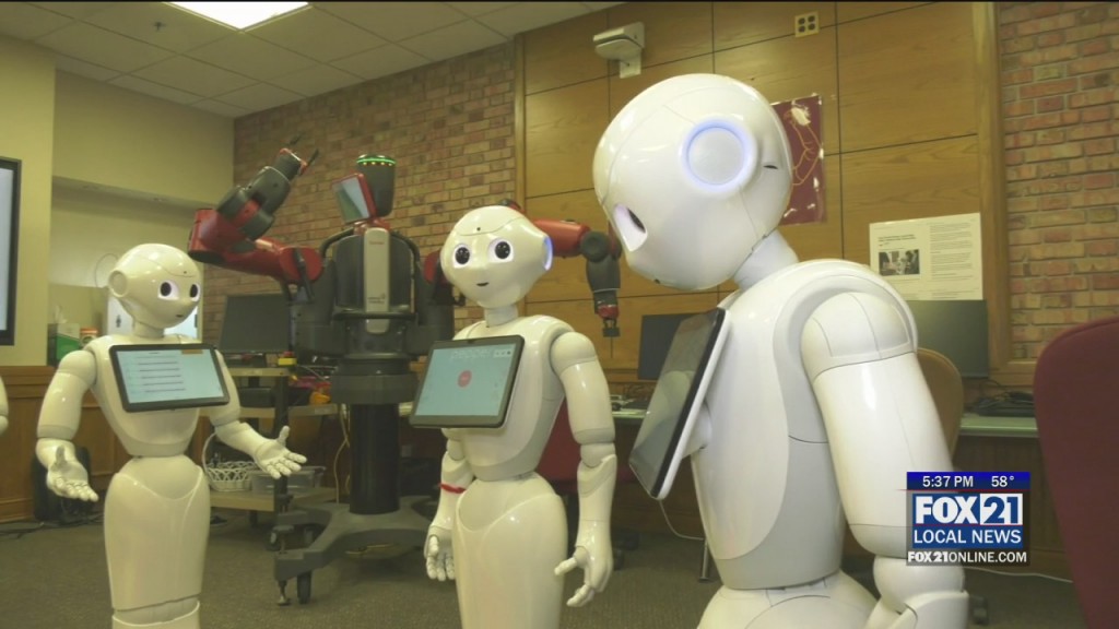 Nursing Home Robots