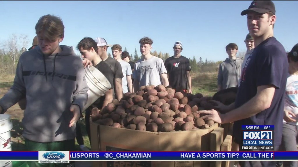Minnesota Wilderness