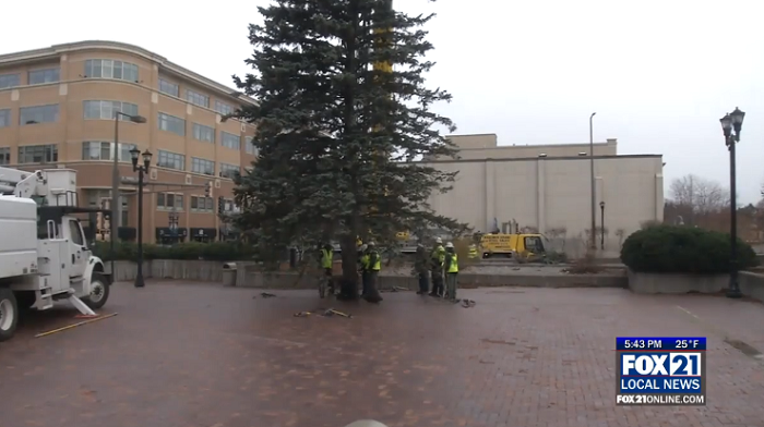 Mn Power Christmas Tree